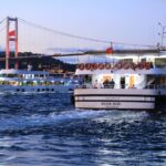 Leading Cruise Liners You’ll Fall in Love With